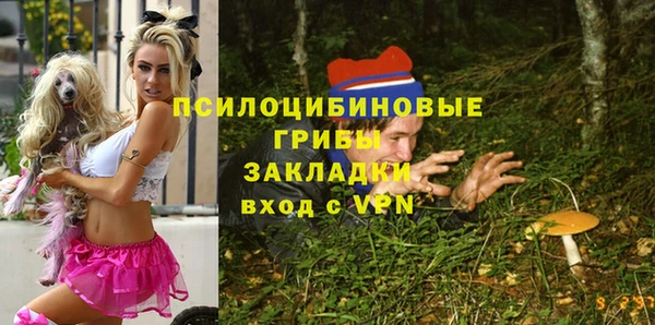 apvp Белокуриха