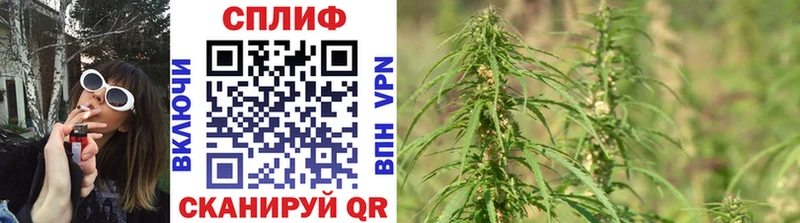 магазин продажи наркотиков  Кудрово  Бошки марихуана LSD WEED 